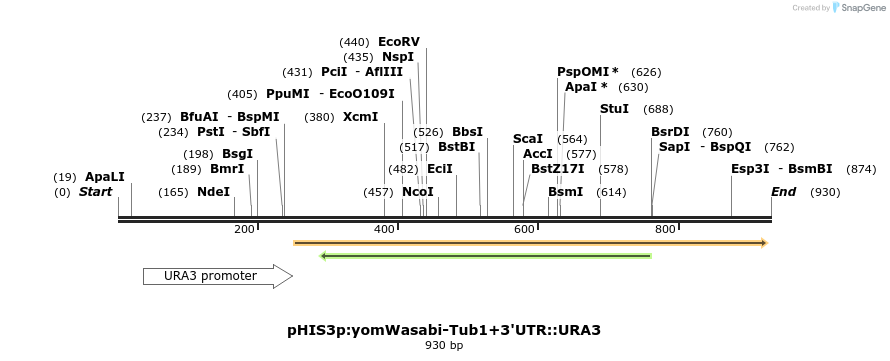 76862_map
