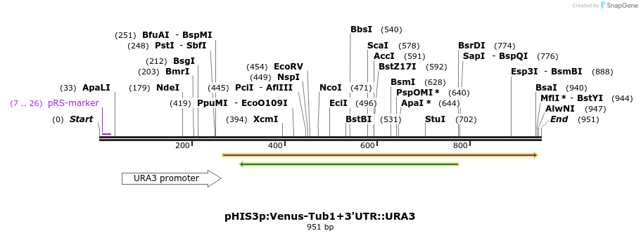 76863_map