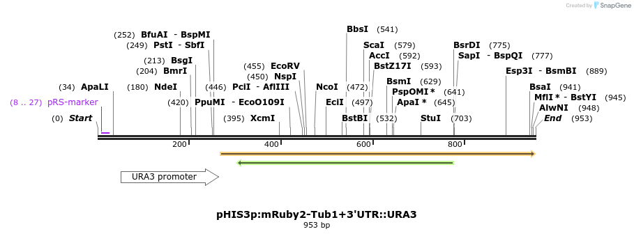 76864_map