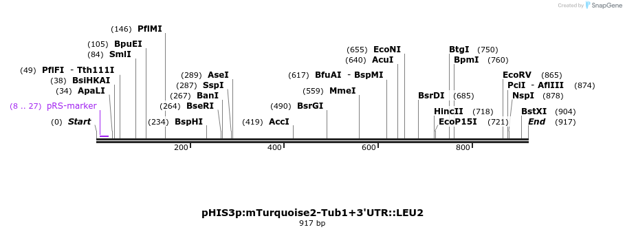 76866_map
