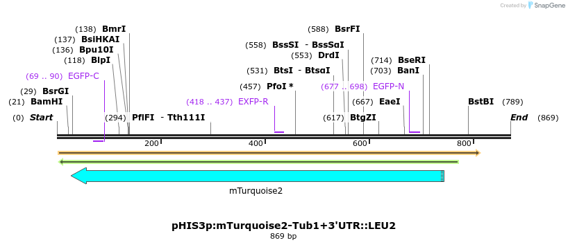 76867_map