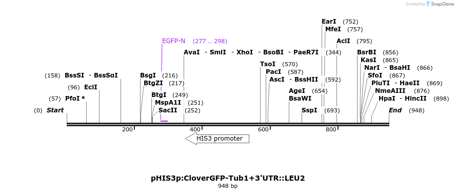 76868_map