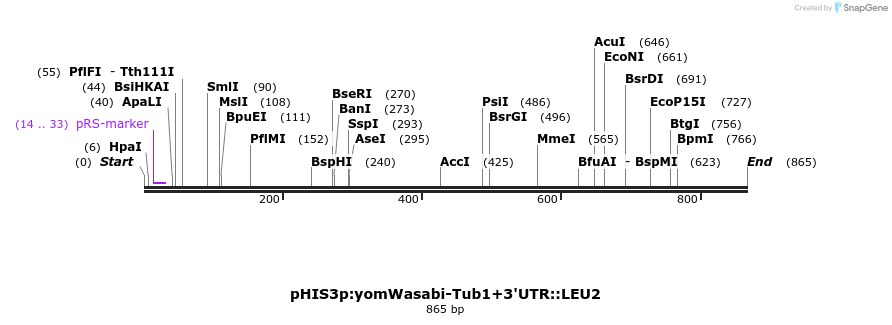 76869_map