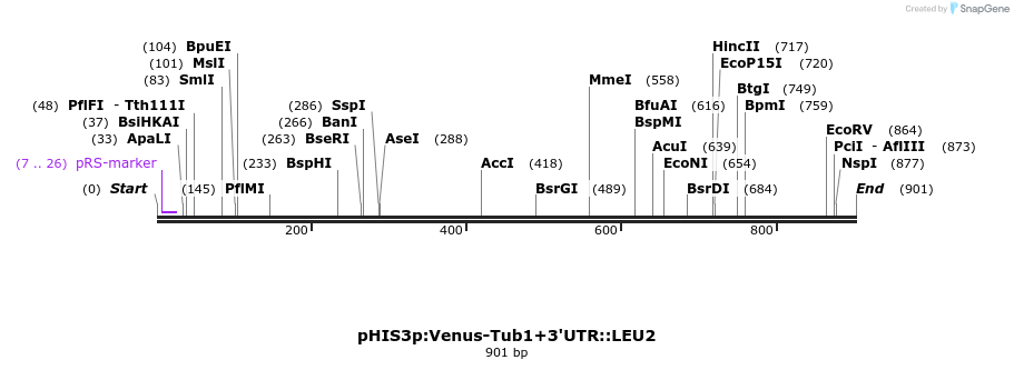 76871_map