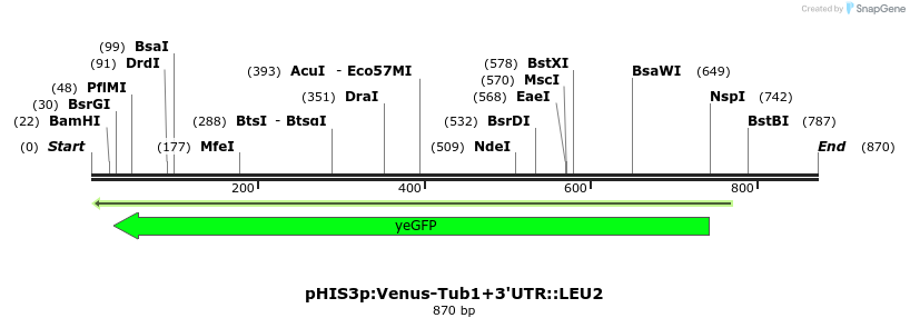 76872_map
