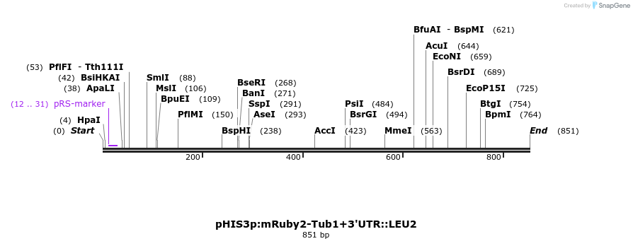76873_map
