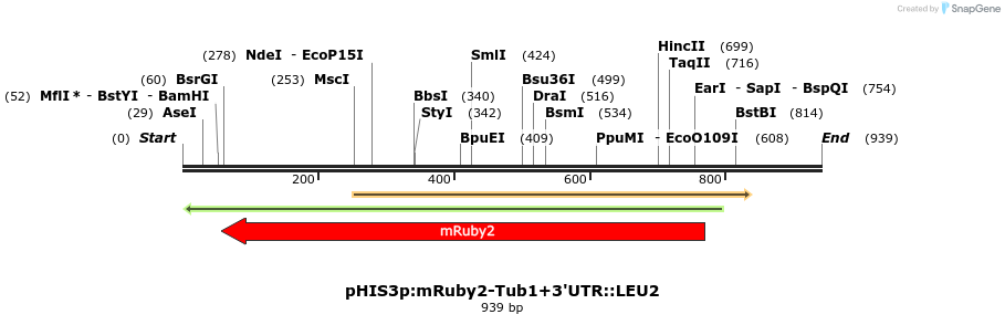 76874_map