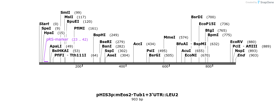 76875_map