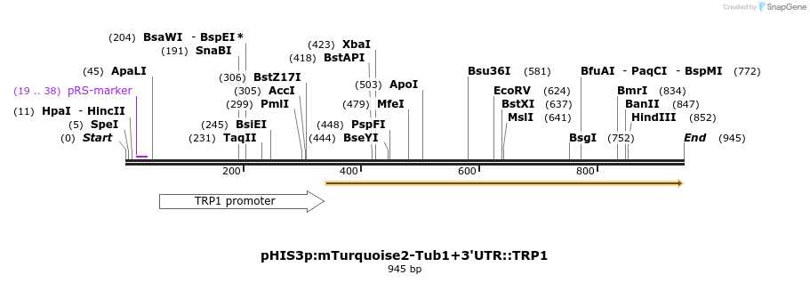 76876_map