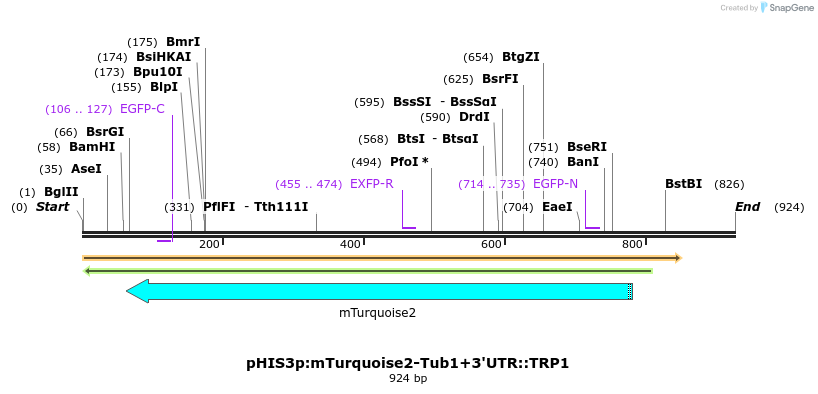 76877_map