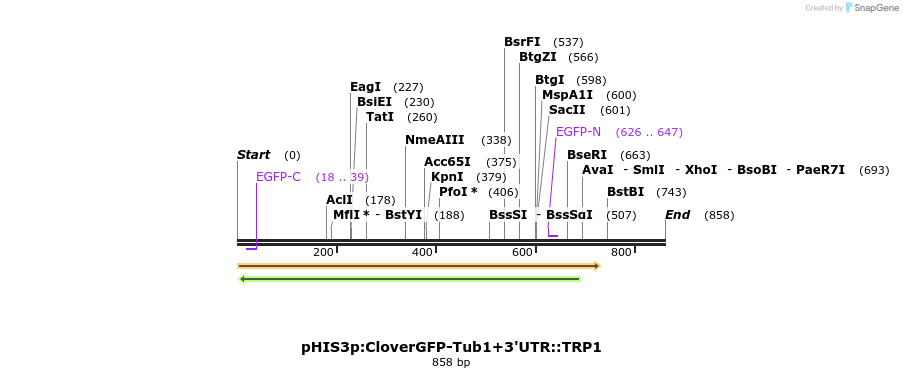 76879_map