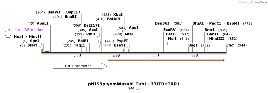 76880_map