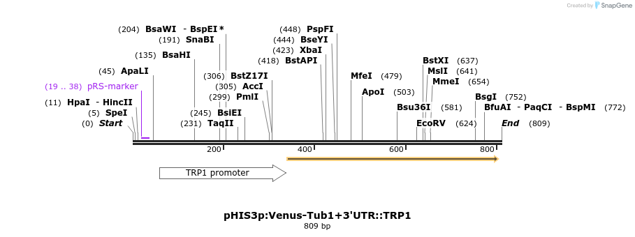 76881_map