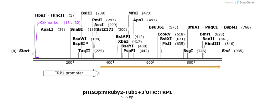 76882_map