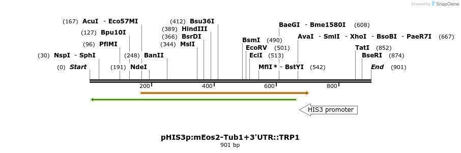 76884_map