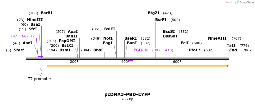76886_map