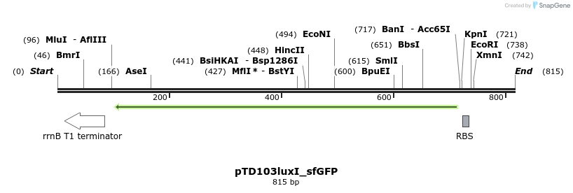 76893_map