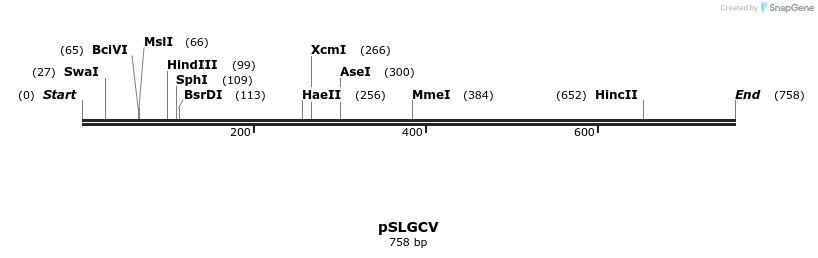 76899_map