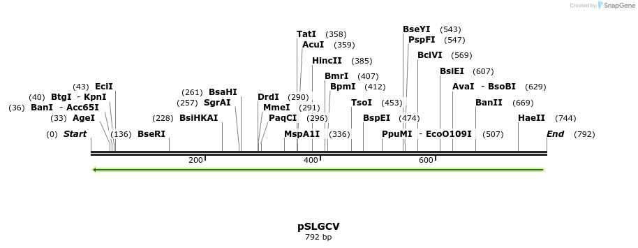 76902_map