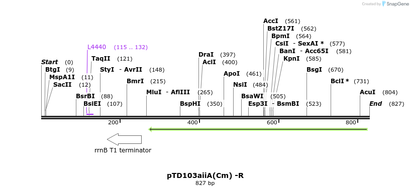 76904_map