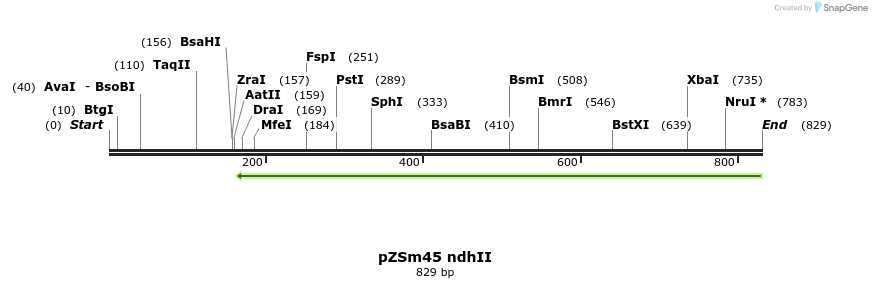 76906_map