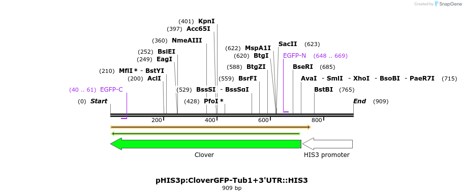 76907_map
