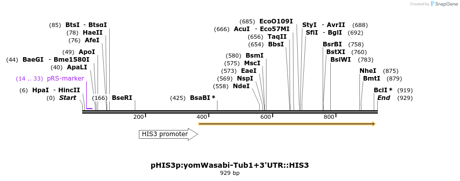76909_map