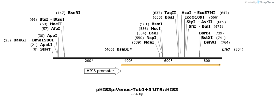 76911_map