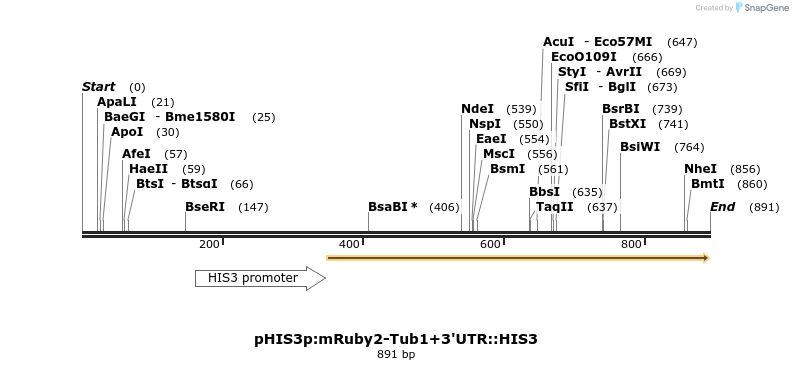 76913_map