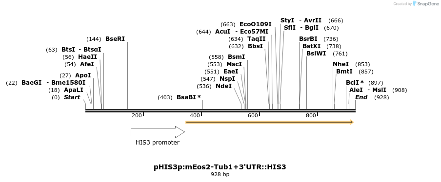 76914_map