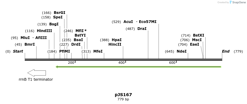76917_map