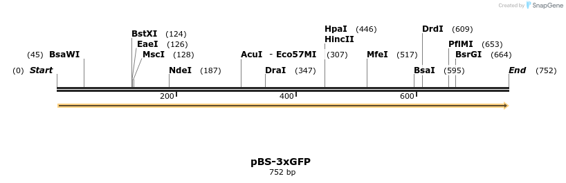 76919_map