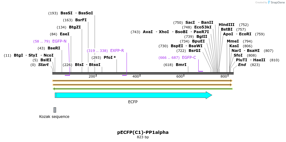 76936_map
