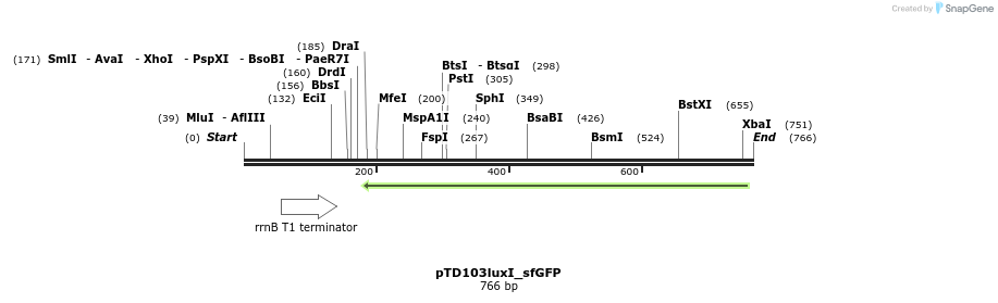 76938_map