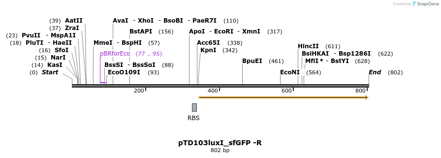 76942_map