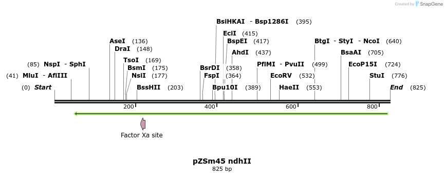76943_map