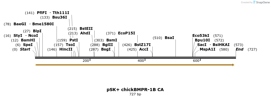 76946_map