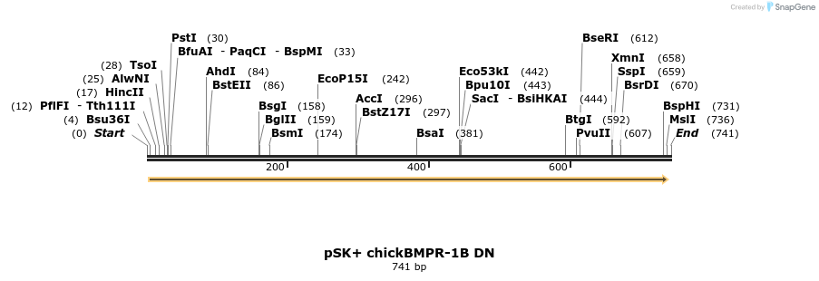 76952_map