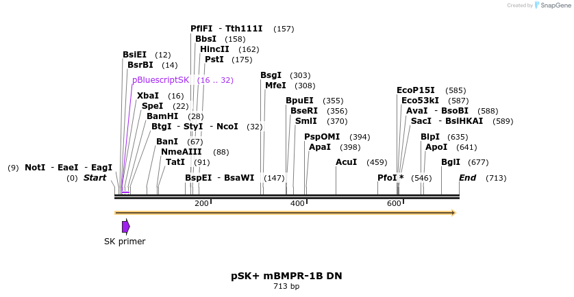 76955_map