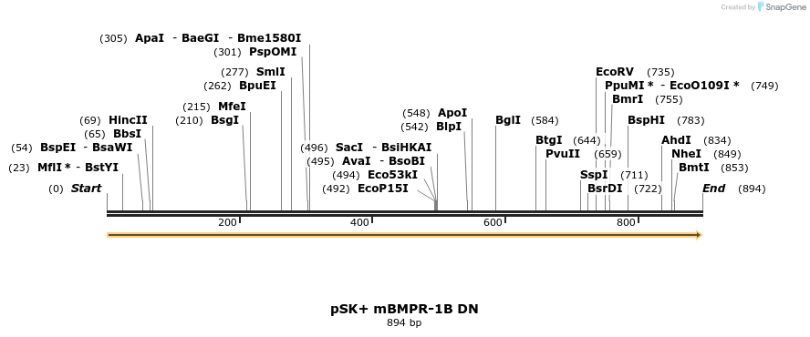 76957_map