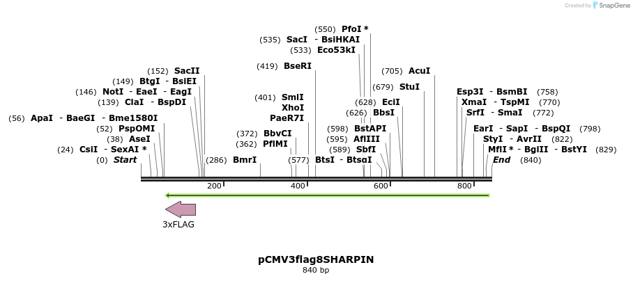 76958_map