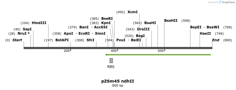 76961_map