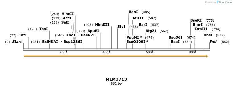 76964_map