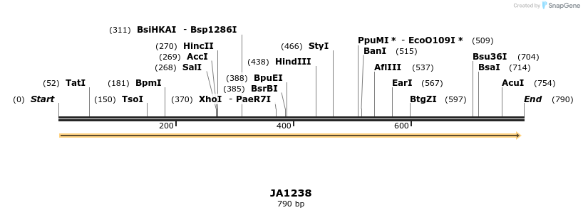 76966_map