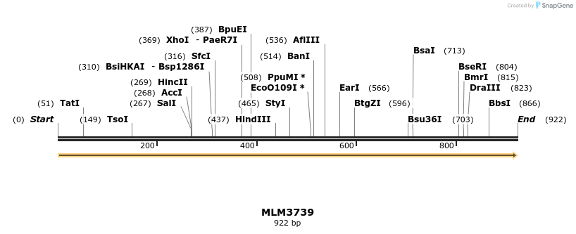 76968_map