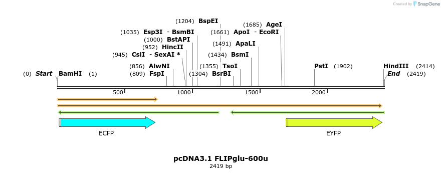 7697_map