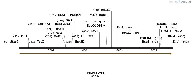 76970_map