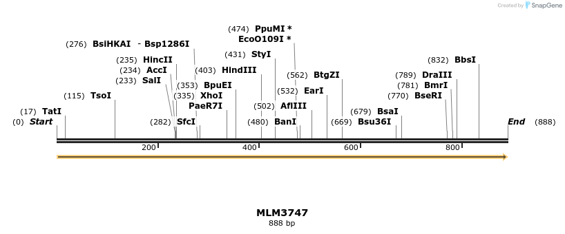 76973_map