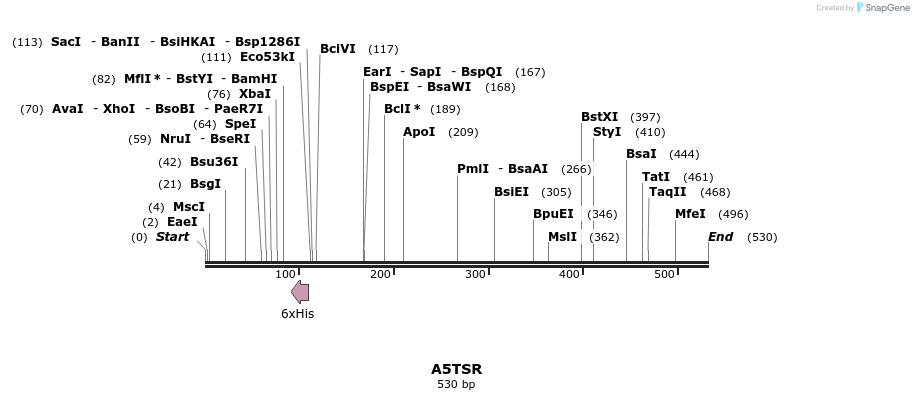 76976_map