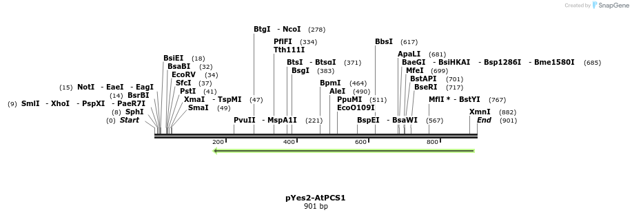 76984_map